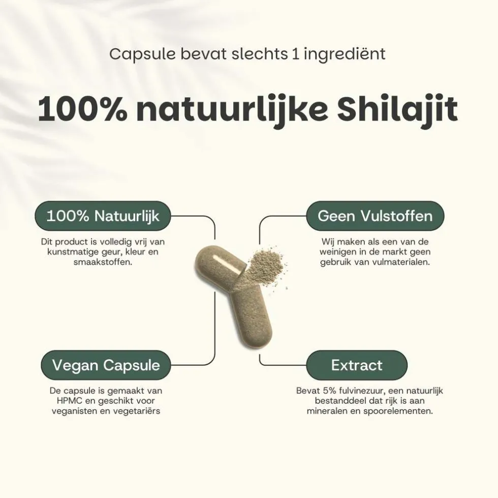 10-korting-cupplement-combide-fnuknlfk-2.webp Outlet Cupplement 10% Korting | Combideal Shilajit Extract (5%) Capsules 500 Mg
