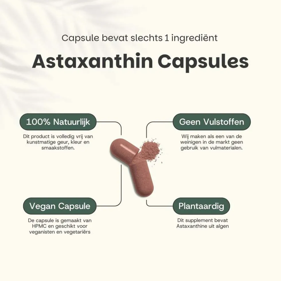 20-korting-cupplement-astaxan-MzorANEA-2.webp Discount Cupplement 20% Korting | Astaxanthine Capsules 8 Mg