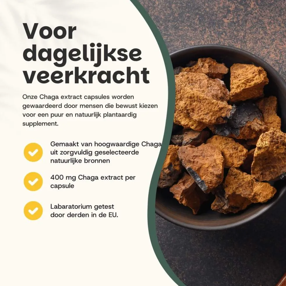 20-korting-cupplement-chaga-e-ydWJFxJf-1.webp Outlet Cupplement 20% Korting | Chaga Extract Capsules 400mg
