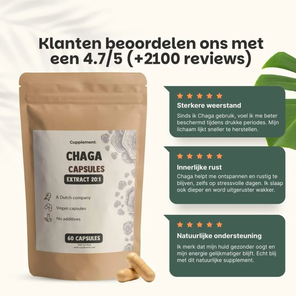 20-korting-cupplement-chaga-e-ydWJFxJf-4.webp Outlet Cupplement 20% Korting | Chaga Extract Capsules 400mg