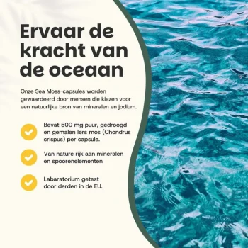 Best Cupplement 45% Korting | Multipack Sea Moss Capsules 500 Mg Biologisch