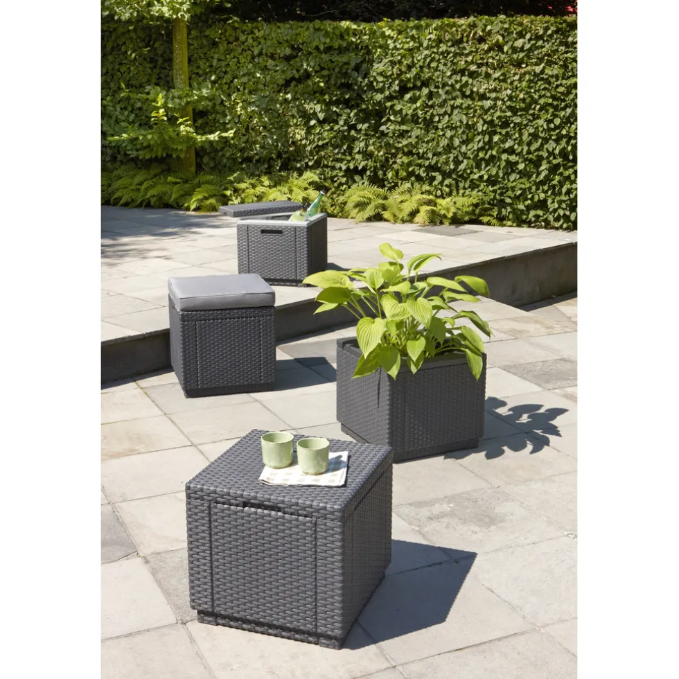 allibert-40l-ice-cube-MDBIuCOP-3.webp Outlet Allibert 40L Ice Cube