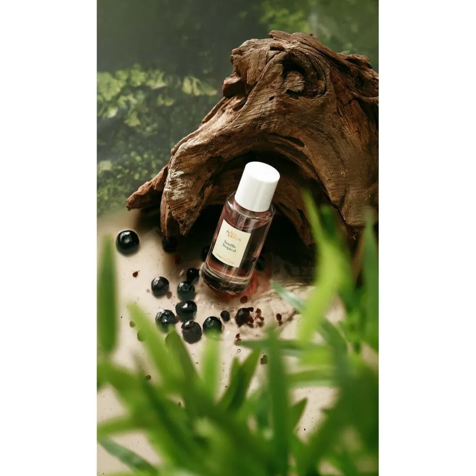 arts-odeurs-souffle-tropical-OQRCvAdh-1.webp Sale Arts & Odeurs Souffle Tropical Extrait De Parfum