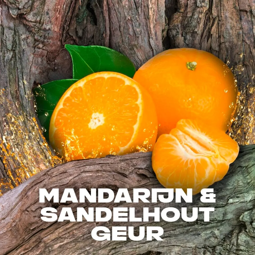 axe-africa-3-in-1-douchegel-en-PIpCLokT-5.webp New Axe Africa 3-In-1 Douchegel En Shampoo