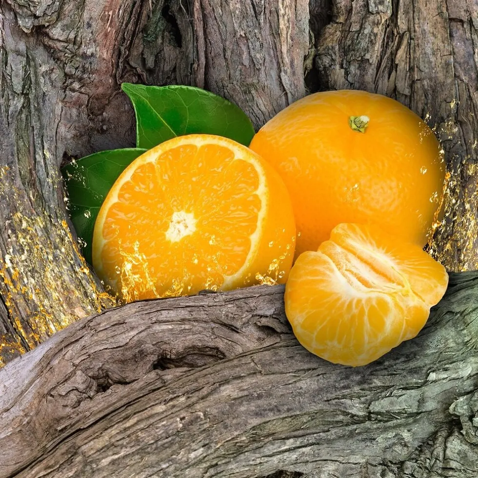 axe-africa-deodorant-bodyspra-WpKhDkxk-5.webp Best Axe Africa Deodorant & Bodyspray