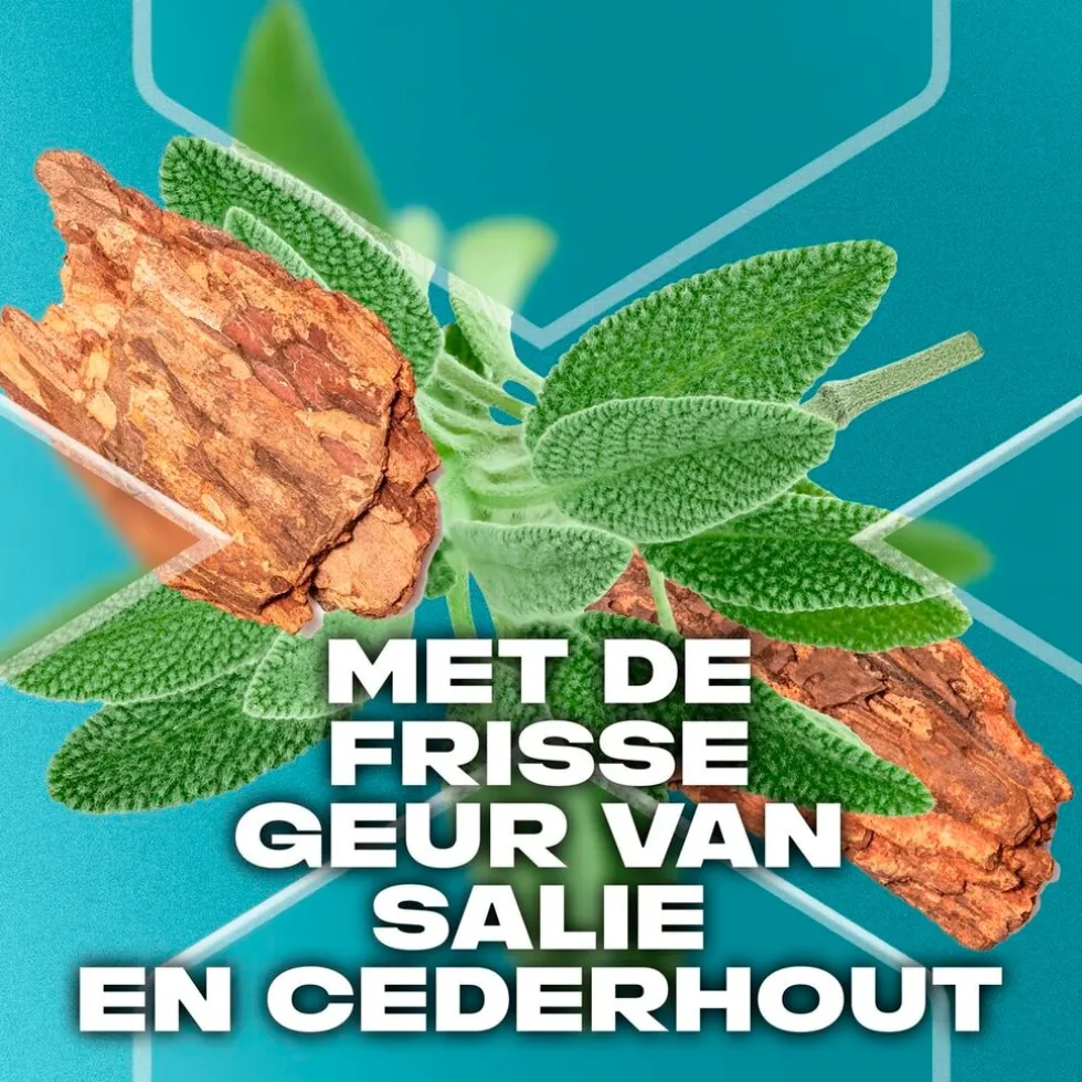 axe-apollo-3-in-1-douchegel-fsSHtHrM-3.webp Online Axe Apollo 3-In-1 Douchegel