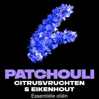 Best Axe Fine Fragrance Purple Patchouli Deodorant Bodyspray