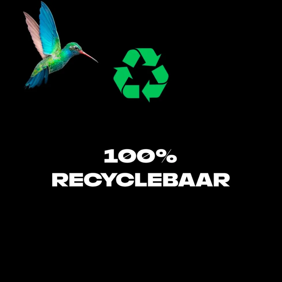 axe-jungle-fresh-deodorant-bo-JOHcBoDQ-2.webp Fashion Axe Jungle Fresh Deodorant & Bodyspray