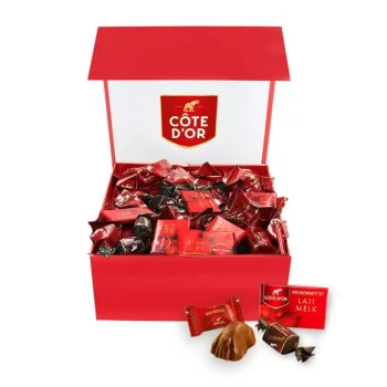 Fashion Cote D'Or Côte D'Or The Best Of – Luxe Magneetdoos Met Chokotoff, Mini Bouchée & Mignonnette Melk