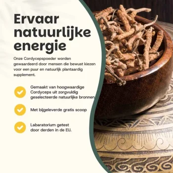Best Cupplement Cordyceps Poeder Biologisch