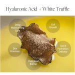 dalba-white-truffle-nourishing-BTEZdJNZ-0.webp