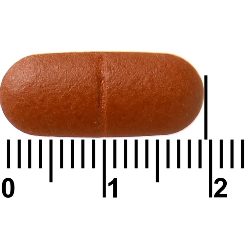 davitamon-actifit-65-tabletten-BAluTcZv-2.webp Best Davitamon Actifit 65+ Tabletten