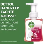 dettol-touch-of-foam-rose-che-kLYocCsv-0.webp