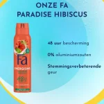 fa-energising-paradise-hibiscu-ORqWbrfk-0.webp
