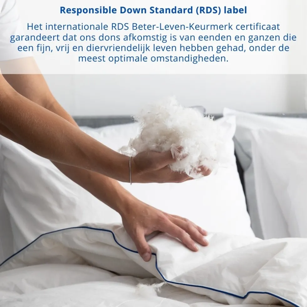 fabiola-winterdekbed-oHrRfUgh-2.webp Best Fabiola Winterdekbed