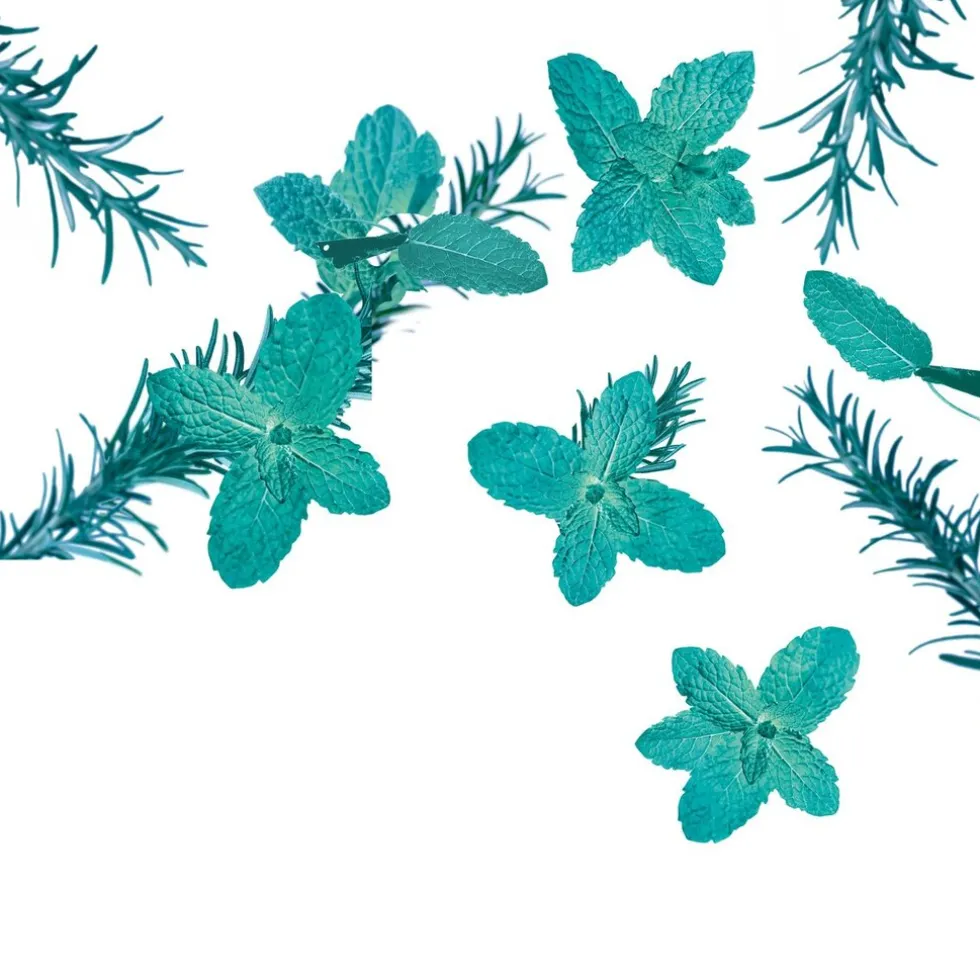 kneipp-goodbye-stress-watermun-ICTwAGql-4.webp New Kneipp Goodbye Stress Watermunt & Rozemarijn Douchegel