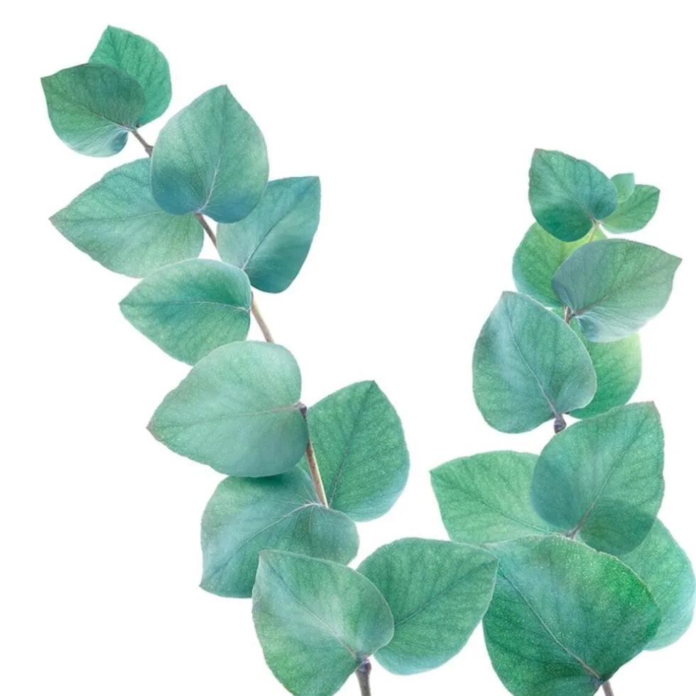 kneipp-refreshing-eucalyptus-b-zdqRZbgQ-2.webp Best Kneipp Refreshing Eucalyptus Badkristallen