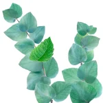 kneipp-refreshing-mint-eucalyp-GGvlwTZB-0.webp