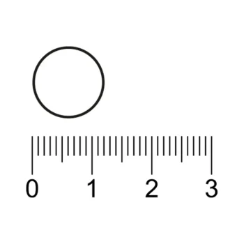 Sale Kruidvat Nachtrust Tabletten