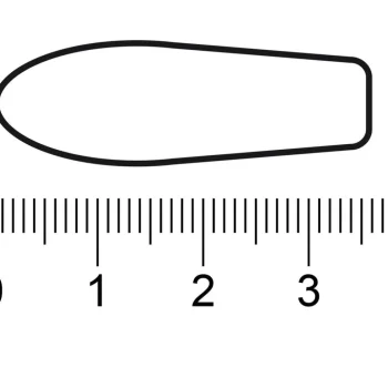 Outlet Kruidvat Paracetamol 1000mg Zetpillen