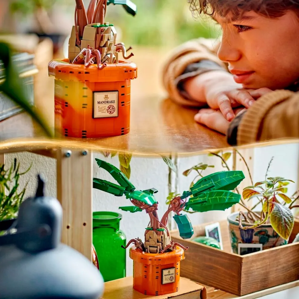 lego-harry-potter-76433-mandra-uQWLdKbB-3.webp Outlet LEGO Harry Potter 76433 Mandragora