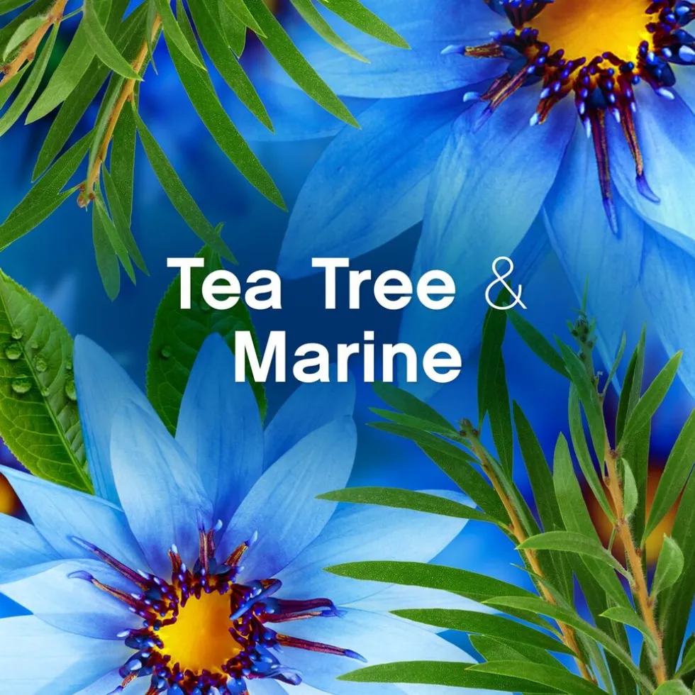 lenor-collection-zeebries-geur-SgSYvRDd-4.webp Clearance Lenor Collection Zeebries Geurbooster