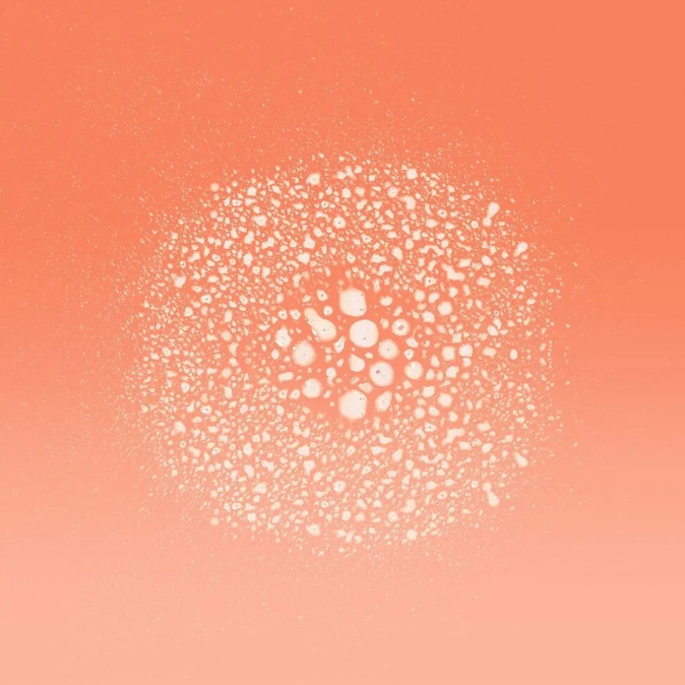 loral-paris-elvive-dream-lengt-apzcznLK-2.webp Online Elvive L'Oréal Paris Dream Lengths Heat Protect Hittespray