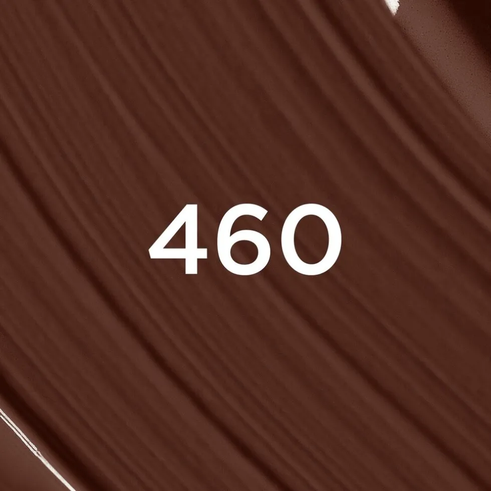 loral-paris-infaillible-skin-i-eMDpUSqQ-1.webp Online L'Oreal L'Oréal Paris Infaillible Skin Ink 460 2-in-1 Foundation & Concealer