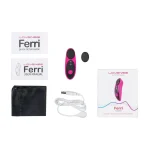 lovense-ferri-panty-vibrator-vFNkRvto-0.webp