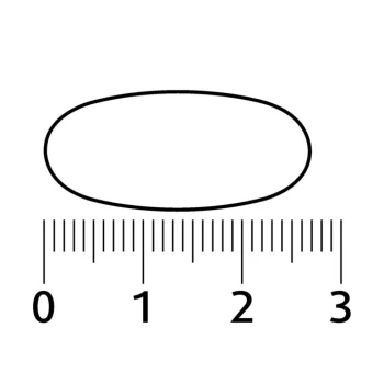 Sale Lucovitaal Super Omega 3 Visolie Capsules