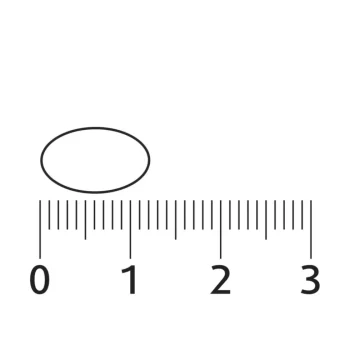 Best Lucovitaal Vegan Omega-3 Microalgen Capsules