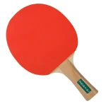pegasi-tafeltennisbatje-2-ste-FvTYaBLU-0.webp