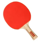 pegasi-tafeltennisbatje-3-ste-PHQMNpgI-0.webp