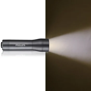 Hot Philips Zaklamp SFL4000T/10