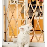 Online Quax Trippy Huisdierenhek