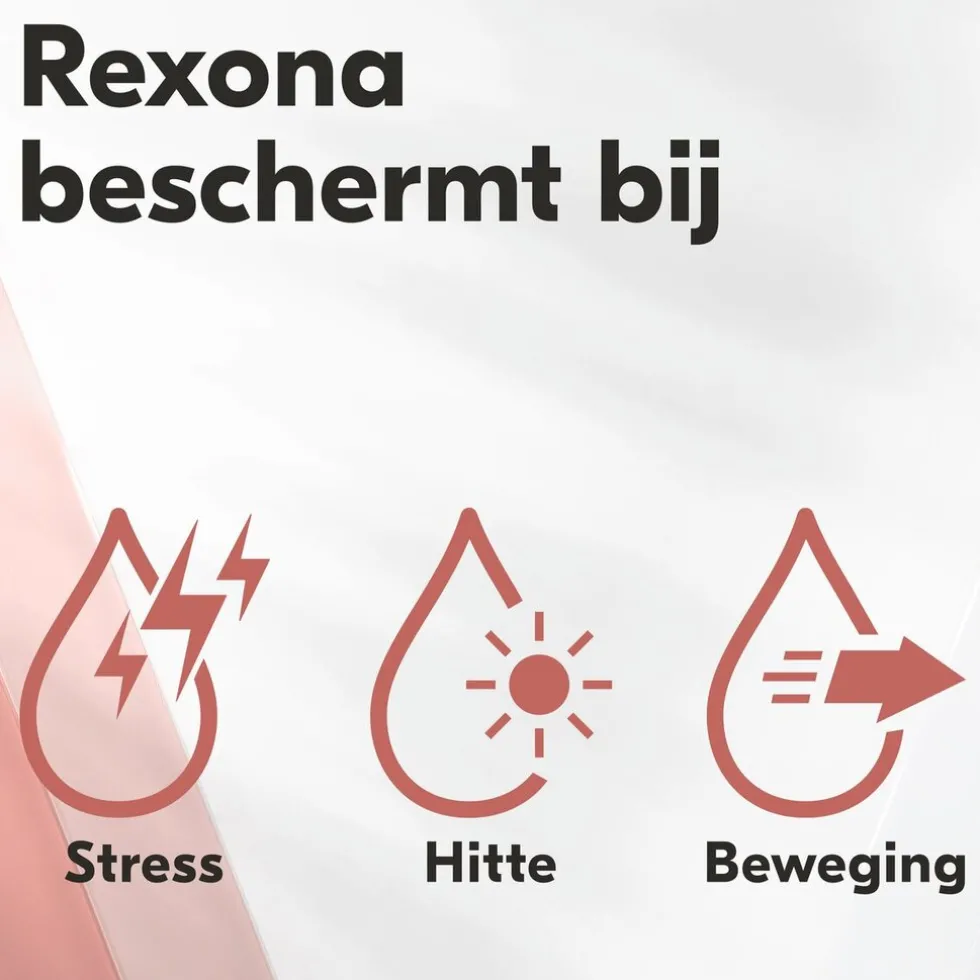 rexona-women-maximum-protectio-XFqgYvMn-4.webp Best Rexona Women Maximum Protection Clean Scent Antitranspirant Stick