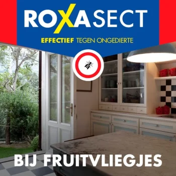 Outlet Roxasect Fruitvliegjes