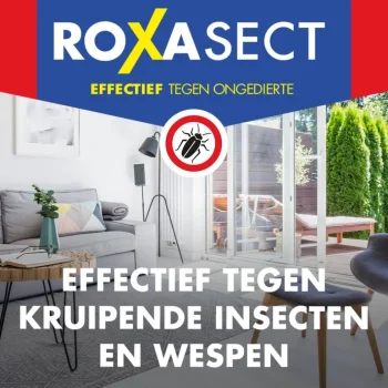 Online Roxasect Spuitbus Tegen Kruipende Insecten En Wespen