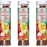 Hot Scentsicles Apples & Autumn Geurende Kerstboomversiering Met Haken