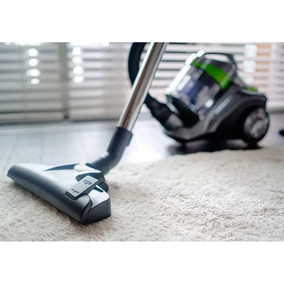 teesa-stofzuiger-vacuum-green-eOYLTAhW-4.webp Best Teesa Stofzuiger Vacuum Green Zonder Zak Met Hepa Filter