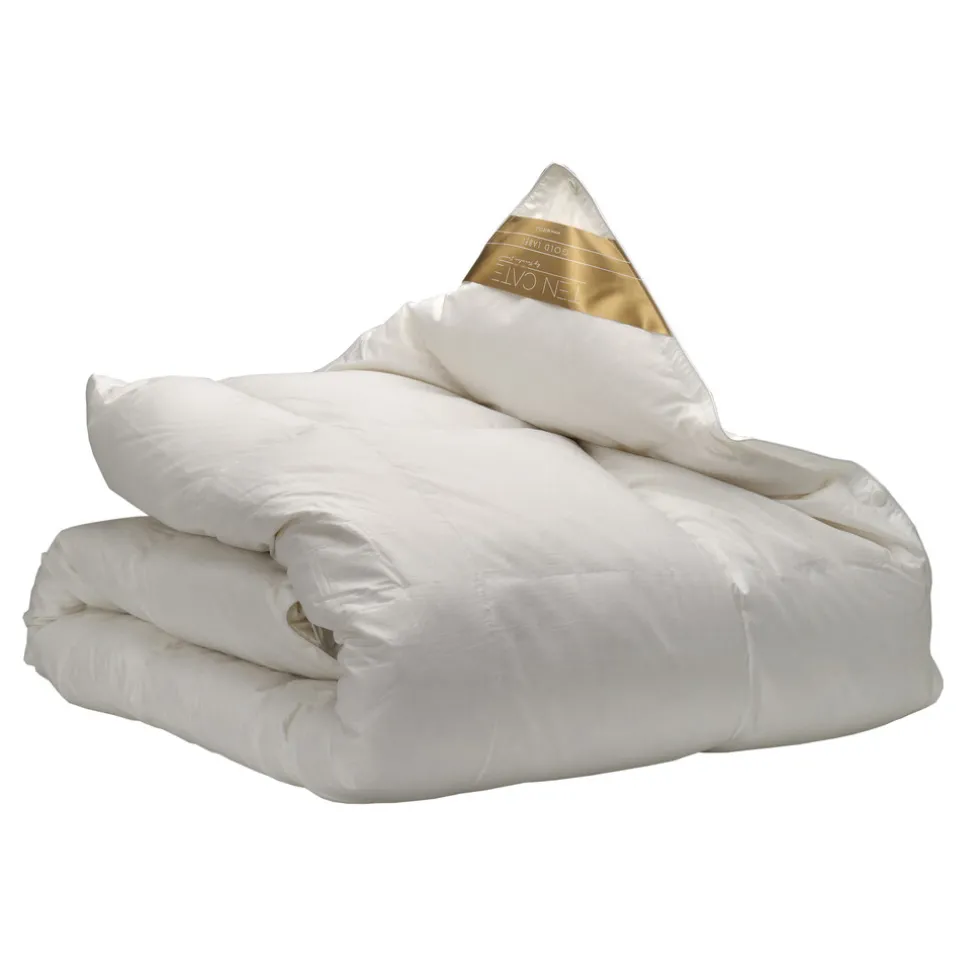 ten-cate-100-ganzendonzen-4-se-obNQljKs-0.webp Hot Ten Cate 100% Ganzendonzen 4-Seizoenen Dekbed