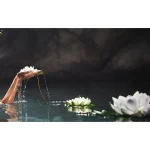 therme-zen-white-lotus-bodyser-KMFdrHva-0.webp