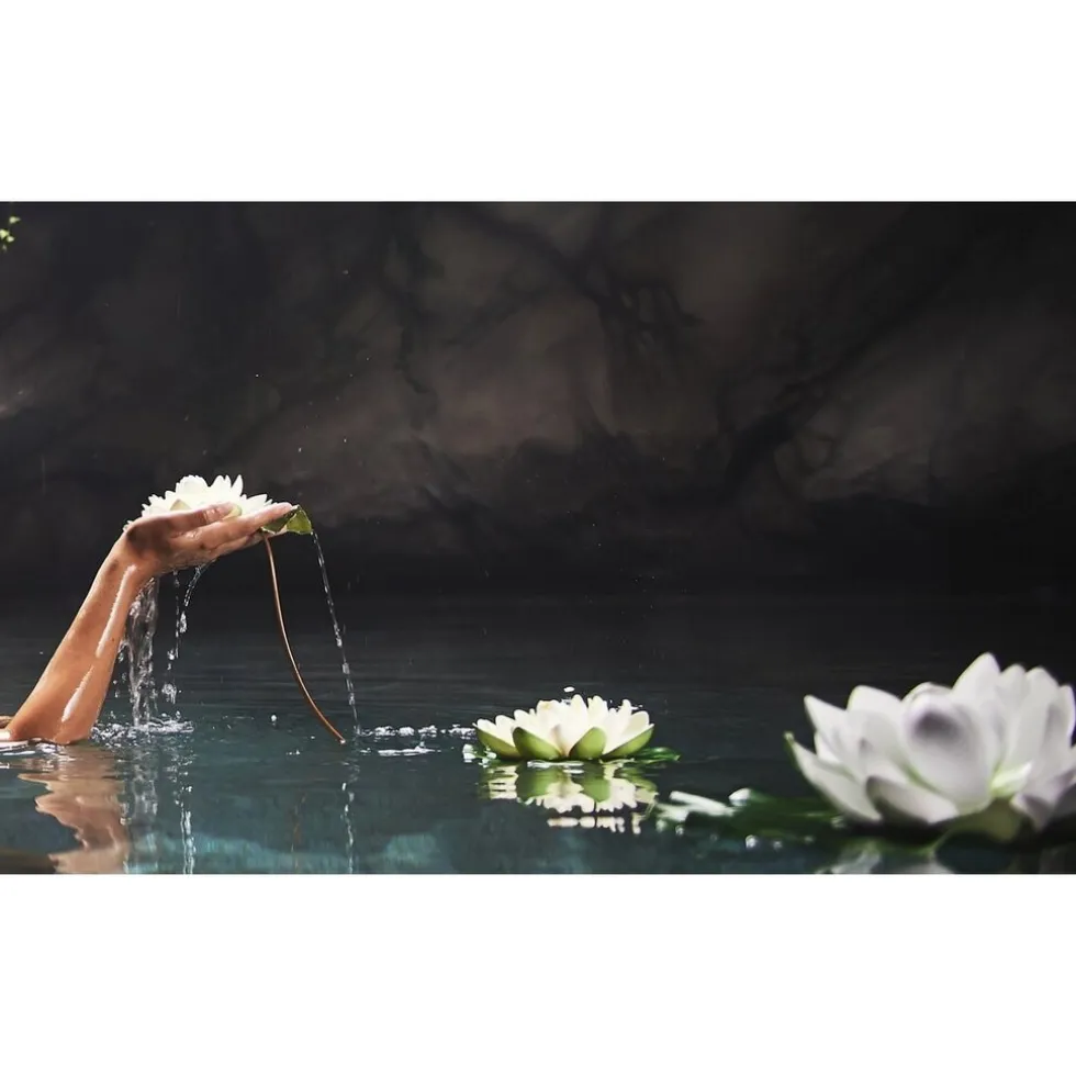 therme-zen-white-lotus-massage-ccZnuzfJ-3.webp Hot Therme Zen White Lotus Massageolie