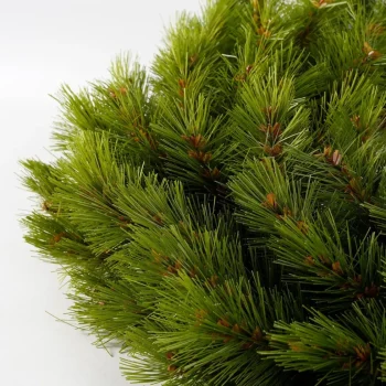 Outlet Triumph Tree Kerstkrans