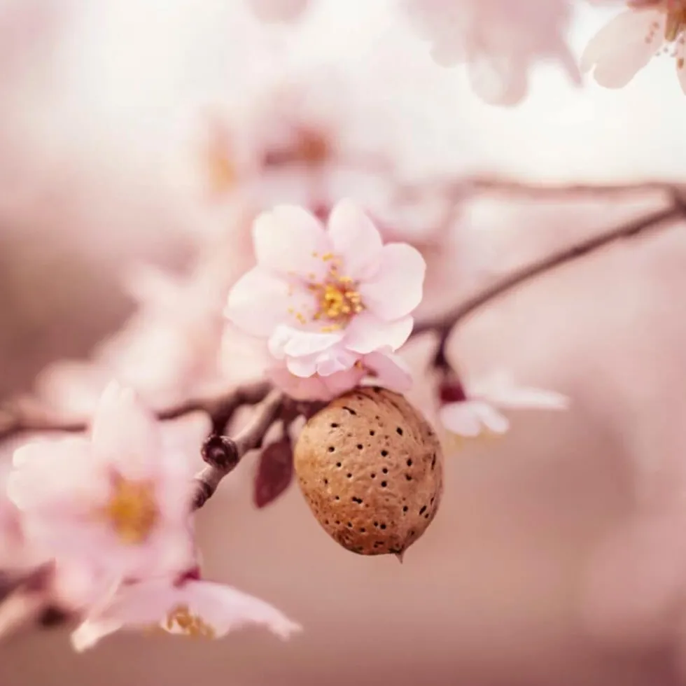 weleda-sensitive-hydraterende-GPsrauIE-3.webp New Weleda Sensitive Hydraterende Gezichtscrème