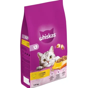 Hot Whiskas Adult Kip Droog Kattenvoer